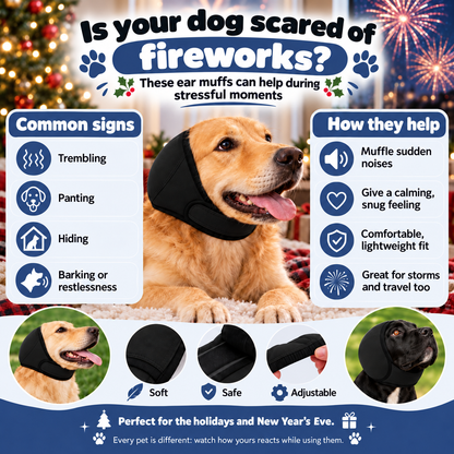 Common signs your dog is scared of fireworks and how Calmora ear muffs help